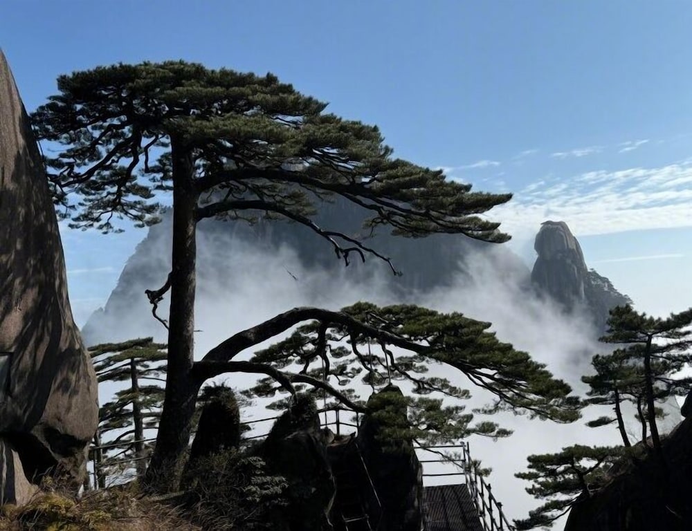 Mount Huangshan Danqing Yayuan B&B Hotel — 4-Star Luxury Hotel in Huangshan, People's Republic of China