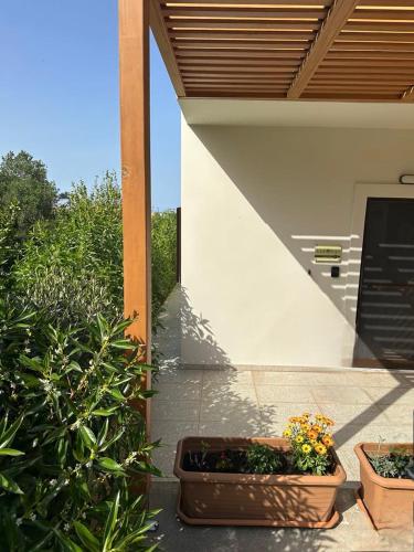 Eleonas Aparments 1 — Sitia — photo 2