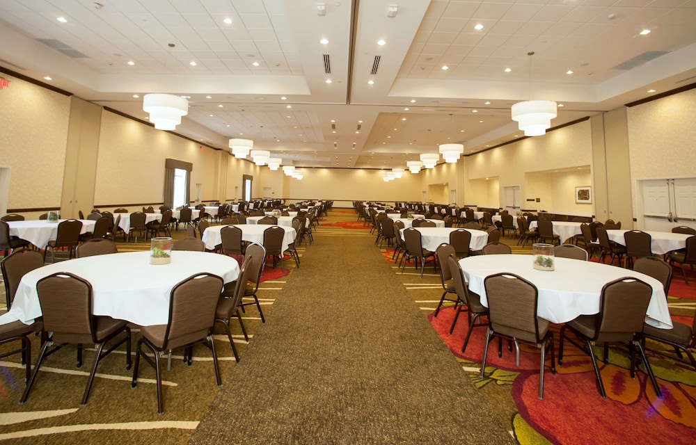 Hilton Garden Inn San Antonio Live Oak Conference Center - photo 56