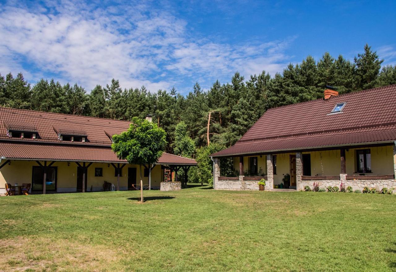 Dom Przy Rezerwacie — hotel in Trzciel