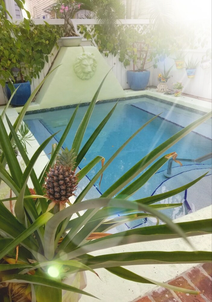 Artist House Key West - photo 43