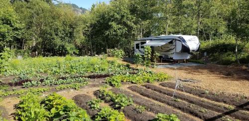 Farm Inn RV Farm Stay with Ocean Views