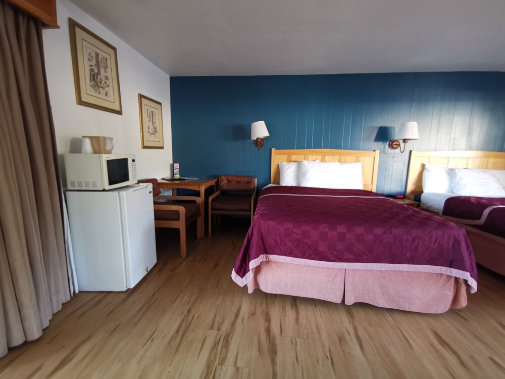 Skylark Shores Resort - photo 26