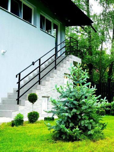 Grey Villas — Calimanesti — photo 4
