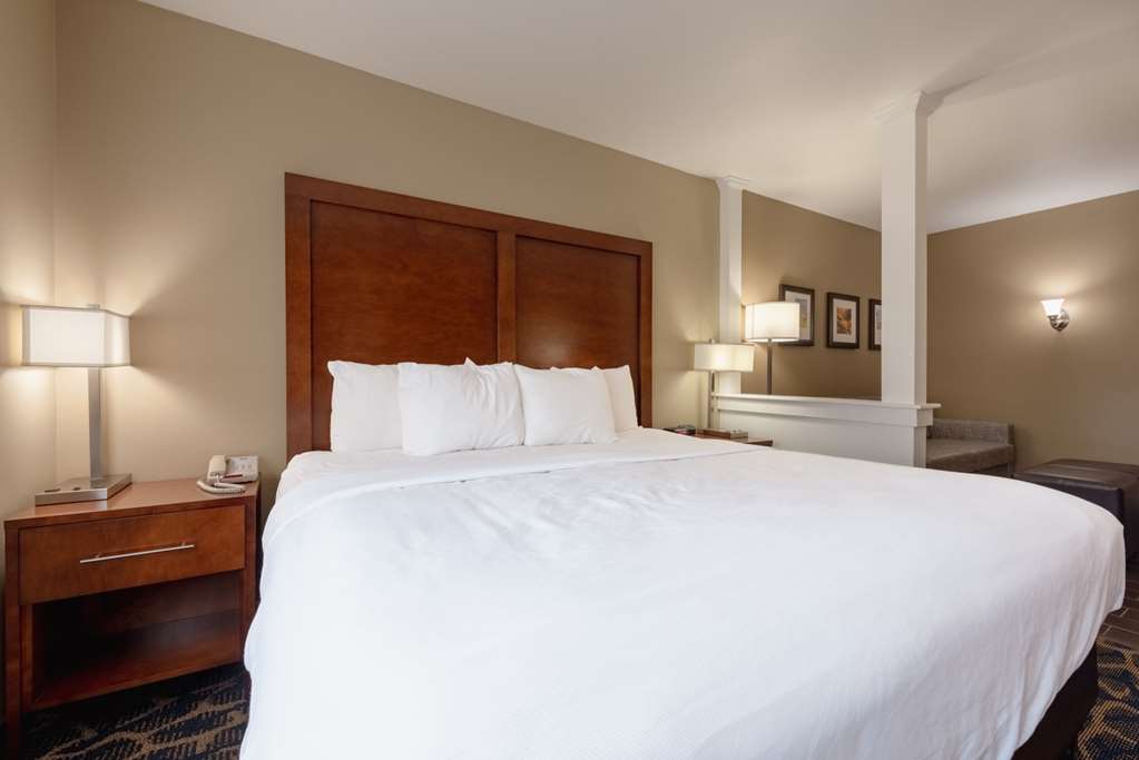 Comfort Inn & Suites Alamosa - photo 64