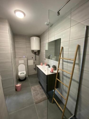 Superbe Studio Avec Terrasse in La Roche-Sur-Foron, France