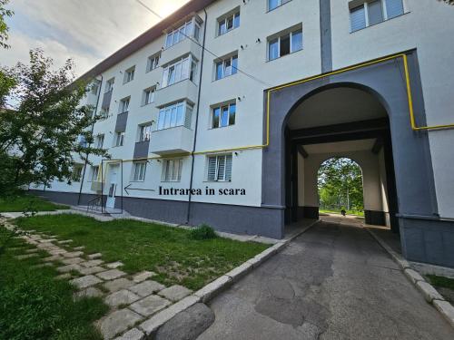 Modern Studio Onești — Onesti — photo 4