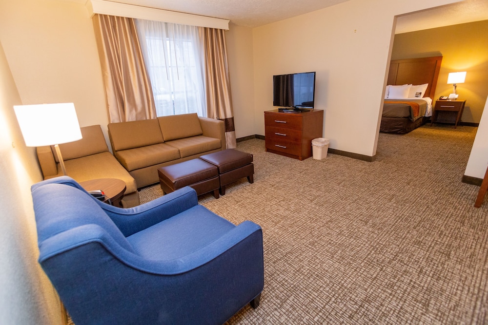 Comfort Inn Salt Lake City Downtown - photo 45