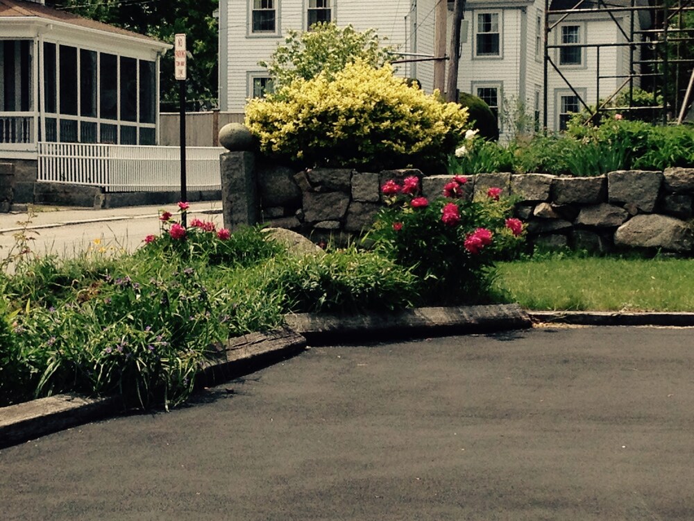 The Linden Tree Inn - photo 17
