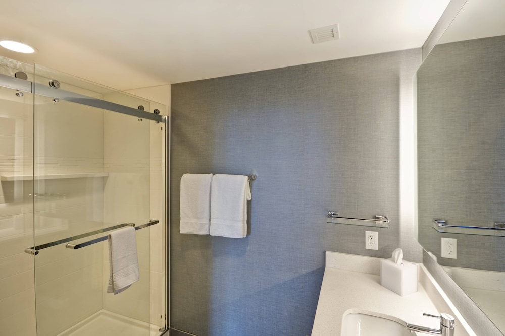 Residence Inn by Marriott New Orleans French Quarter Area Central Business District - photo 52