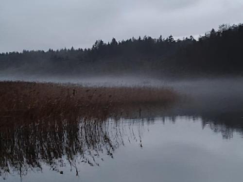 4 Sterne Haus am See — Waren — photo 3