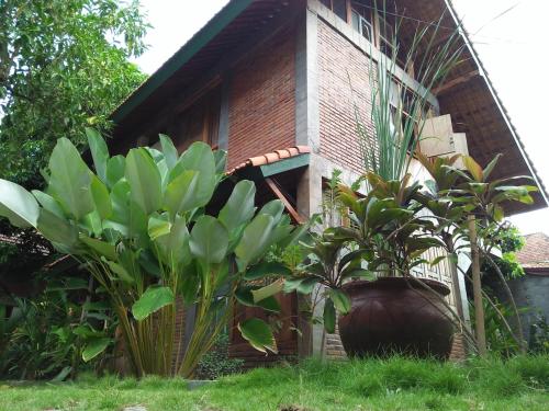 Melati Double Studio Ground Floor — Unknown City — photo 4