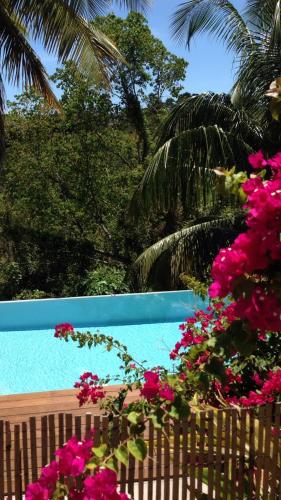 Confortable T1 Le Gosier Wi Fi piscine dans gîte — 4-Star Luxury Hotel in Le Gosier, Guadeloupe
