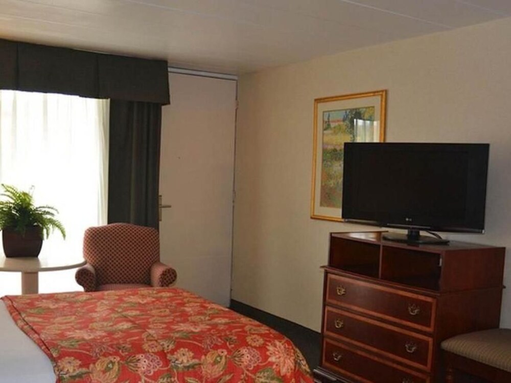 Chapel Hill University Inn - photo 24