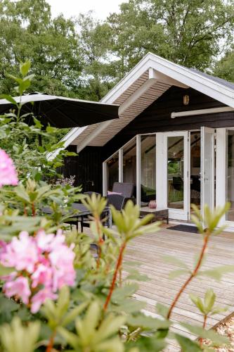 Immerse Yourself In Silkeborgs Wonderful Nature in Silkeborg, Denmark