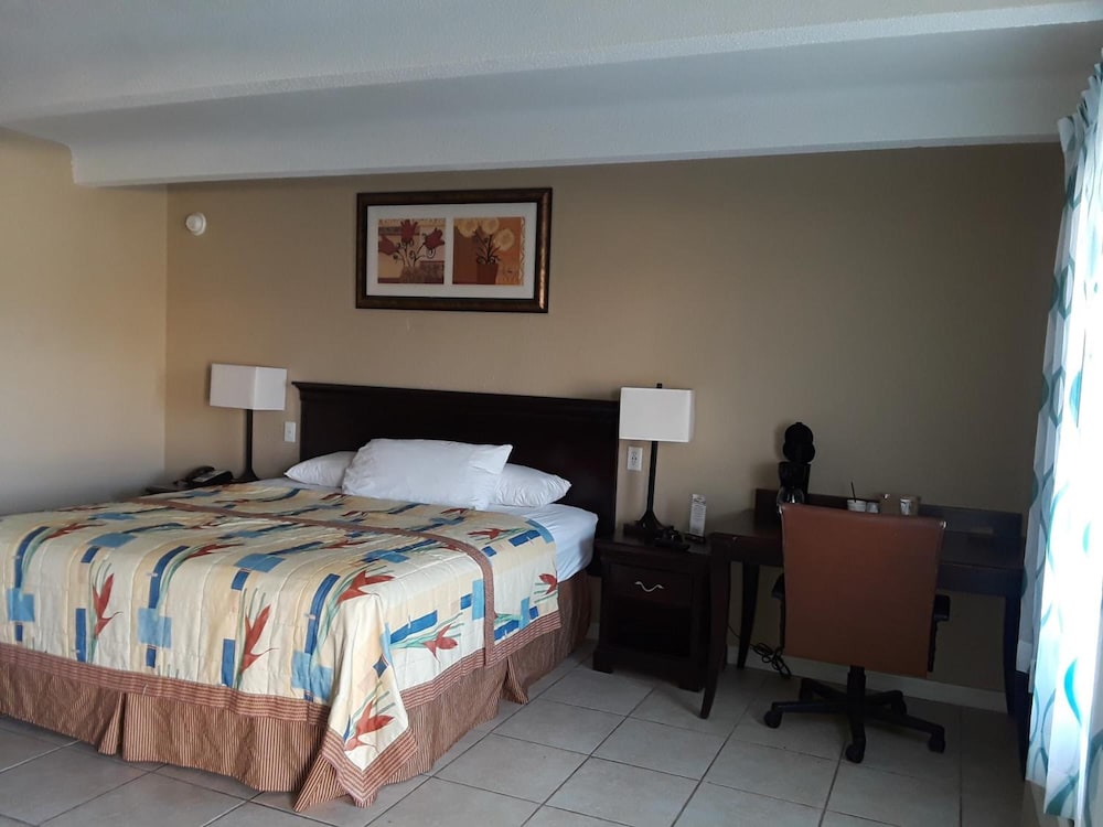 Budget Lodge of Mount Dora - photo 13