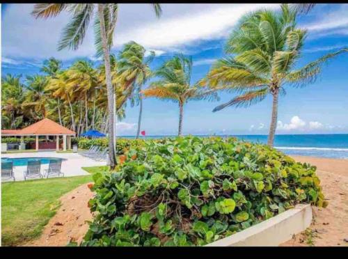 Lovely 2 Bed room villa with Beach & Pool — 4-Star Luxury Hotel in Rio Grande, Puerto Rico