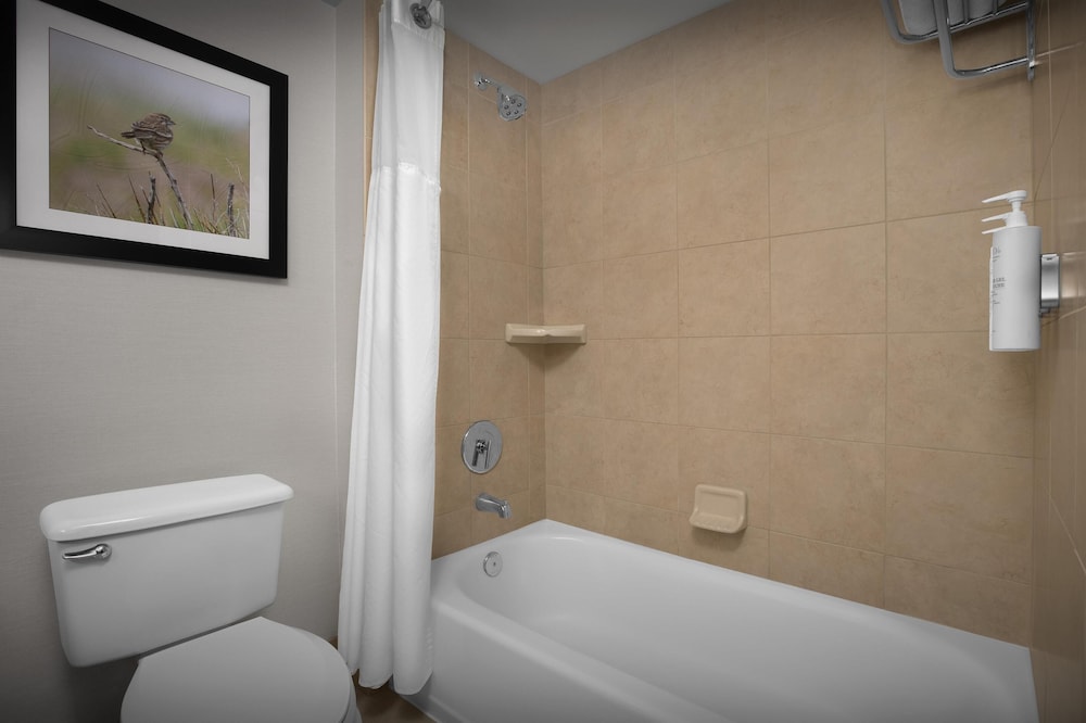 Hilton Garden Inn Denver Highlands Ranch - photo 22