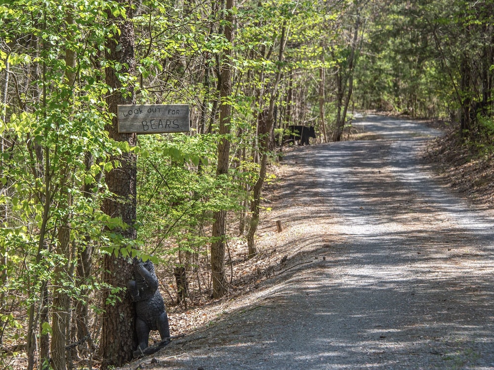 Drakes Mountain Hideaway - photo 24