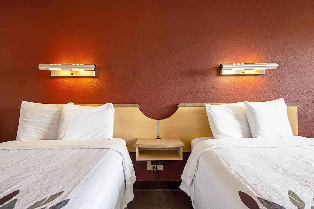 Red Roof Inn Jacksonville Airport - photo 15