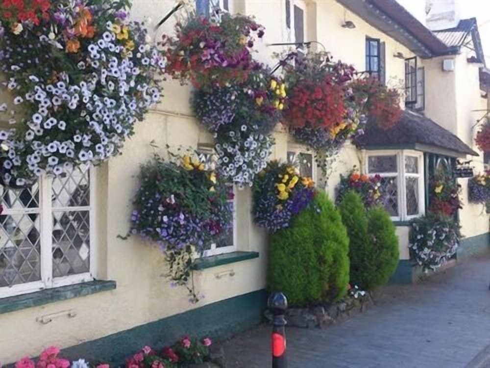 Kings Arms Inn in Exeter, United Kingdom
