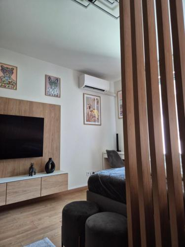Alfa Apartment 2 Free Parking Ac Near City Center — 4-Star Luxury Hotel in Kosice, Slovakia