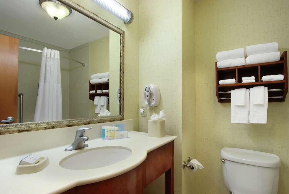 Hampton Inn & Suites Buffalo - photo 43