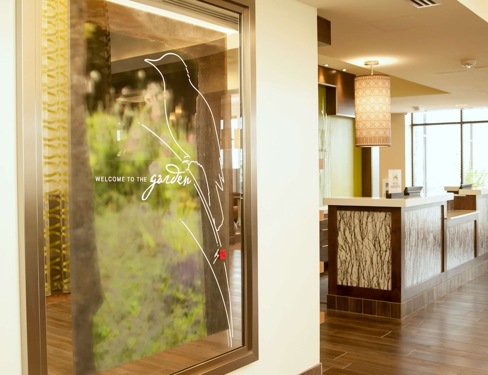 Hilton Garden Inn San Antonio Live Oak Conference Center - photo 4