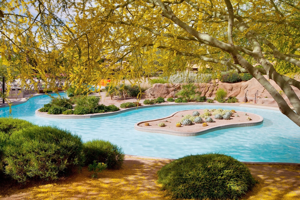 The Westin Kierland Resort & Spa - photo 79