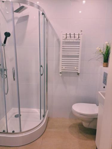 Apartament Olimpijski — Szamotuly — photo 5