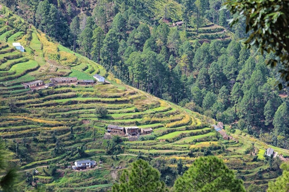 Whispering Pines Himalayan Retreat in Tehri, India