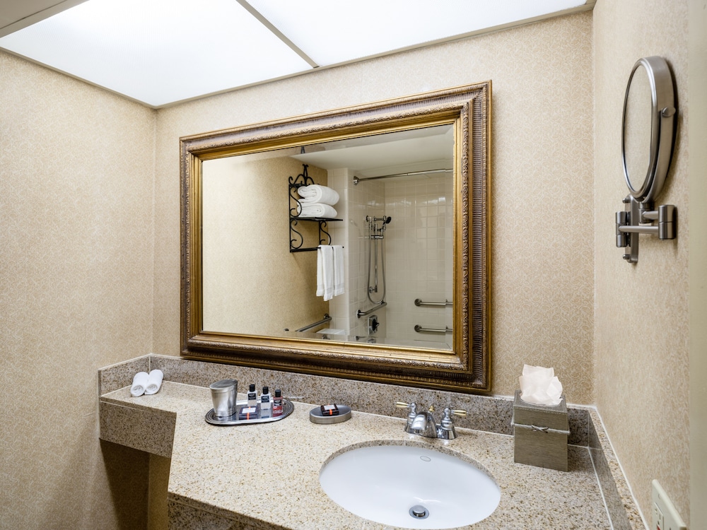 Austin Southpark Hotel - photo 22