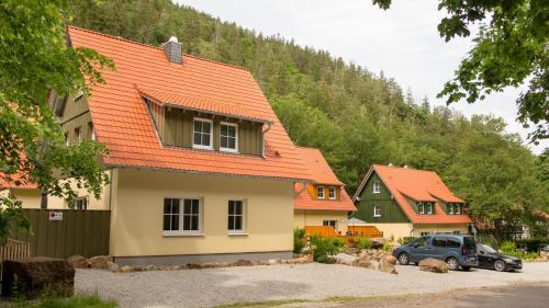 Ferienhauser Ilsestein Einzelhaus 130 Qm 4 Schlafzimmer — Ilsenburg