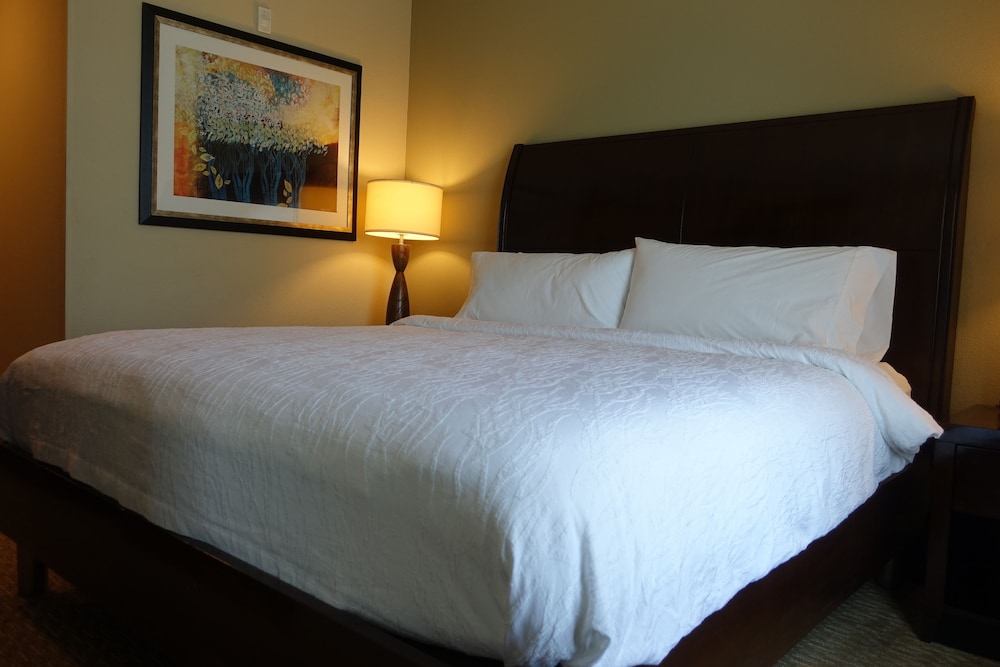 Hilton Garden Inn Houston Pearland - photo 10
