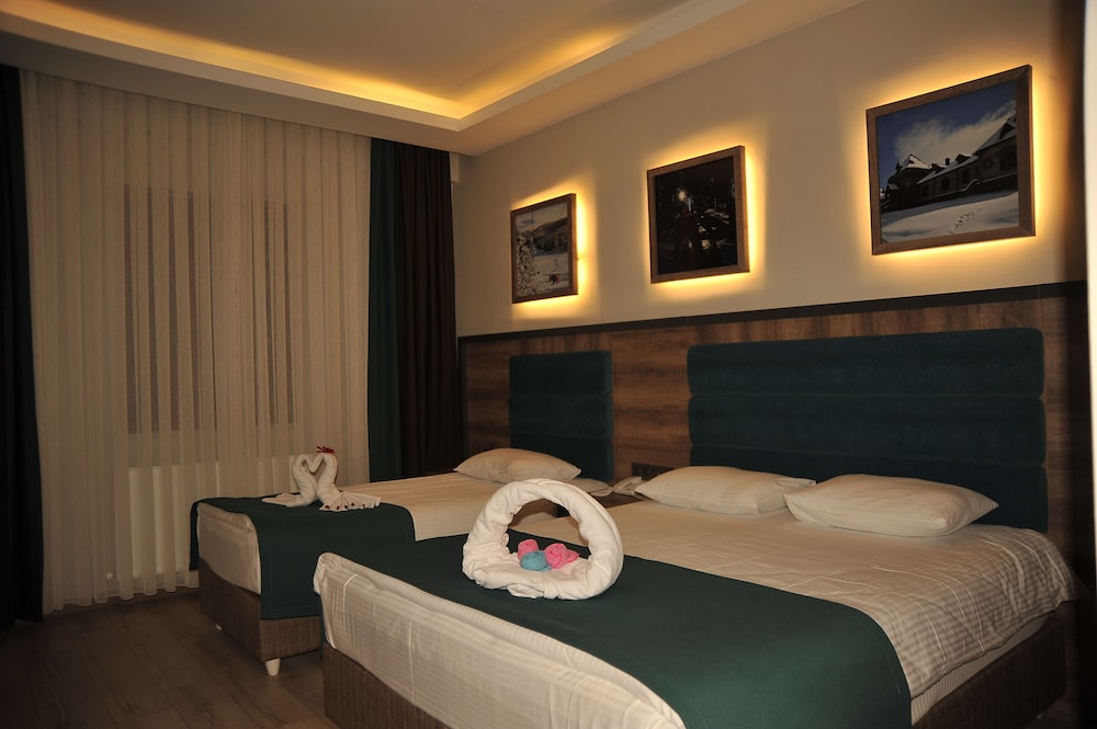Iceberg Otel — Sarikamis — photo 2