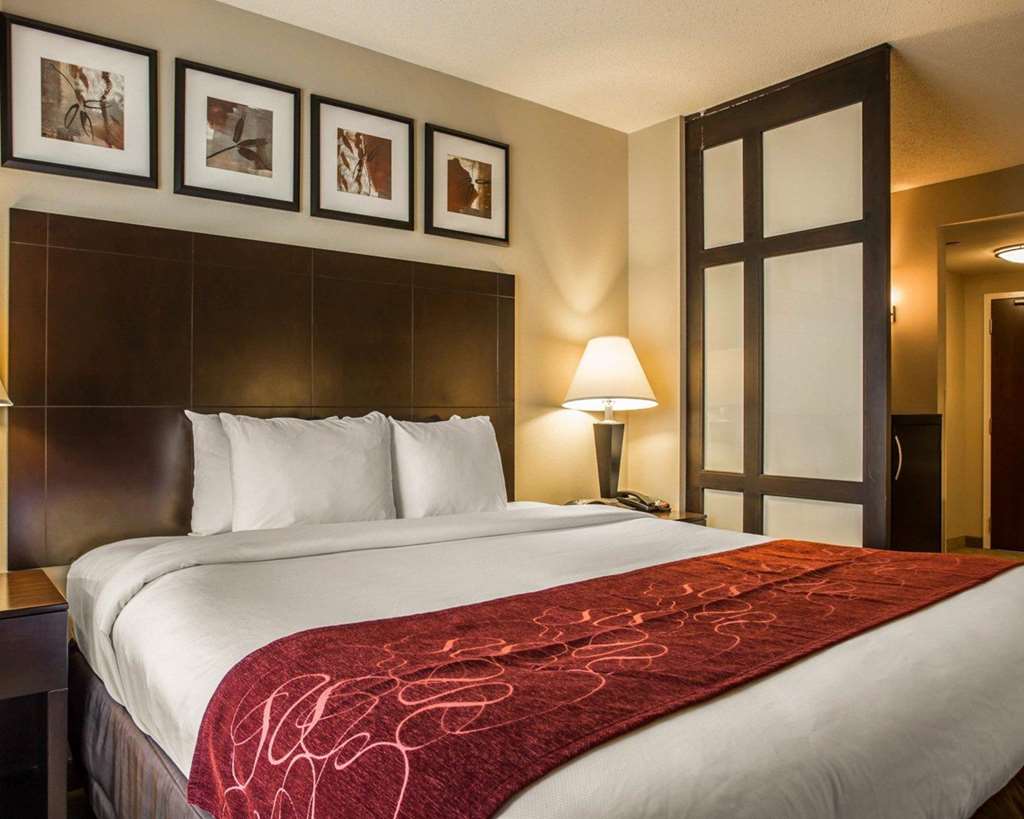 Comfort Suites Huntersville near Lake Norman - photo 23