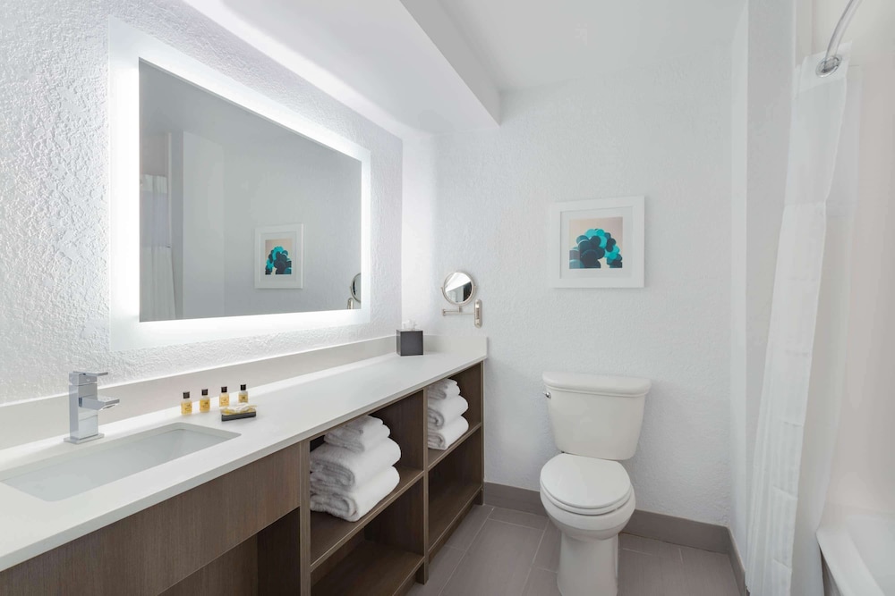 Holiday Inn Resort Kissimmee by the Parks by IHG - photo 20