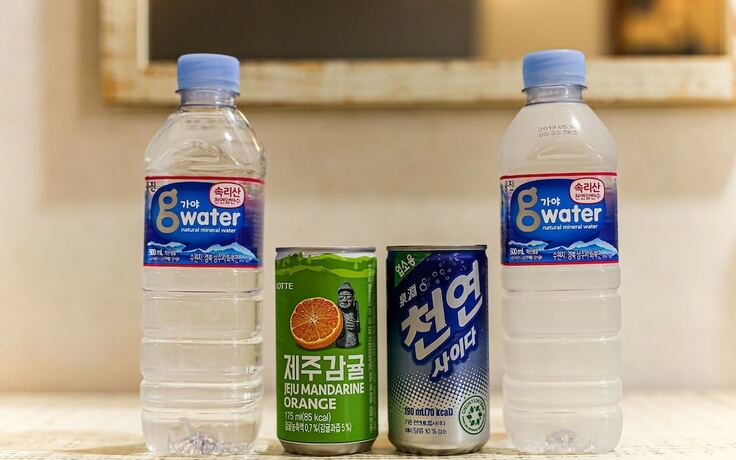 Daegu Beomeo Midas Hotel pet-friendly hotel Daegu