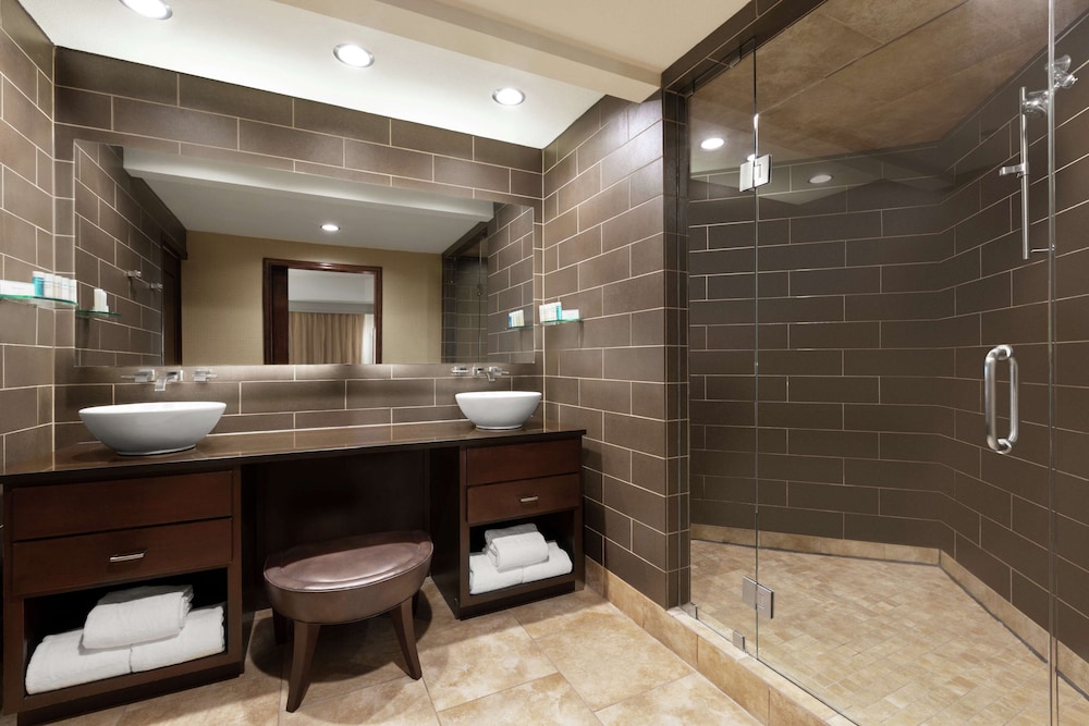 Embassy Suites by Hilton Dallas DFW Airport North - photo 41