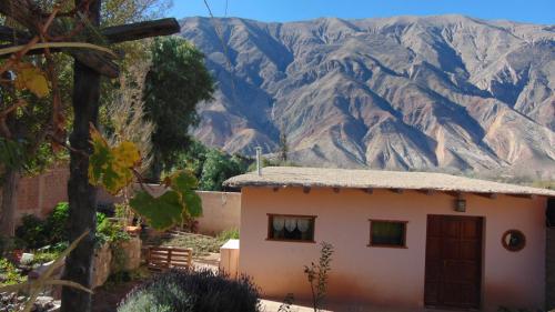 Cabaña colibrí — hotel in Maimara