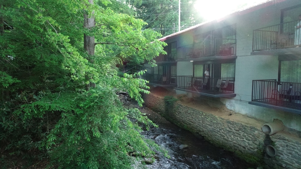 Bear Creek Inn - photo 48