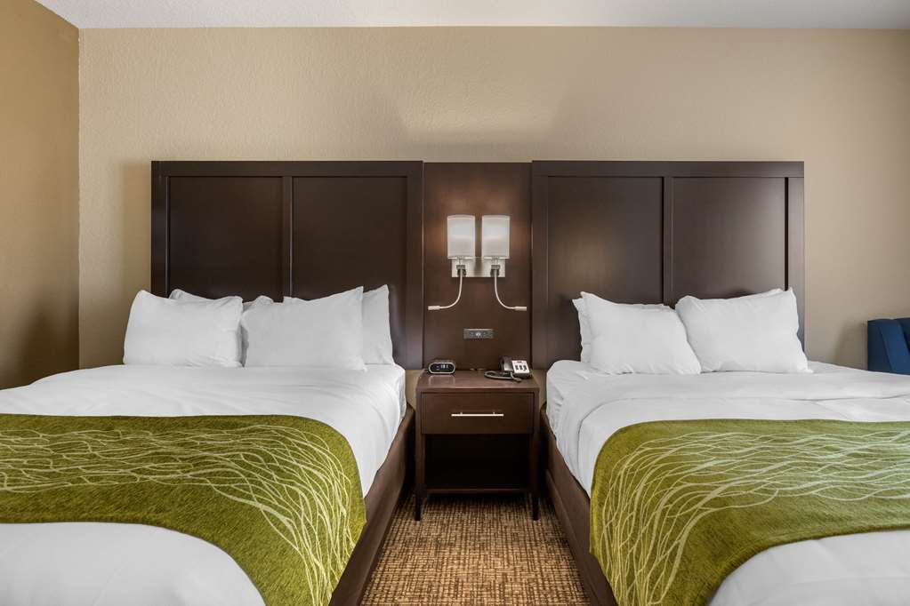 Comfort Inn & Suites Cedar Rapids CID Eastern Iowa Airport - photo 14