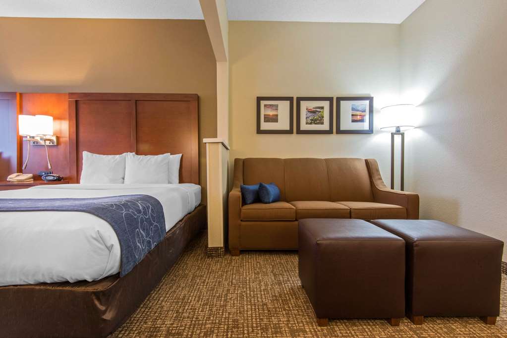 Comfort Suites Rochester Henrietta University Area - photo 12