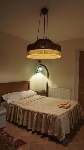 Cozy And Center