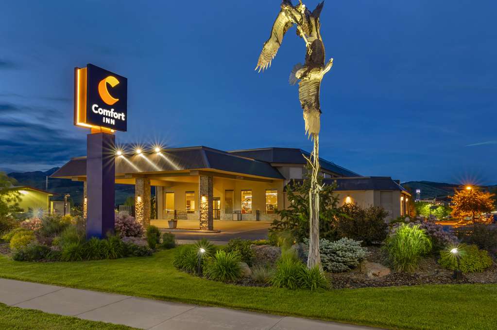 Comfort Inn Bozeman near University - featured photo