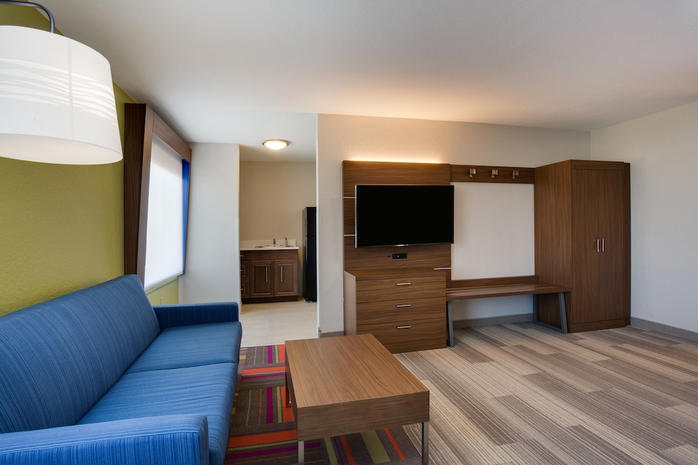 Holiday Inn Express Hotel & Suites Tampa Fairgrounds Casino by IHG - photo 27
