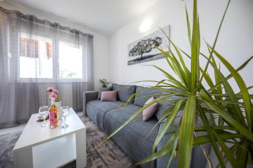 Avocado Apartment