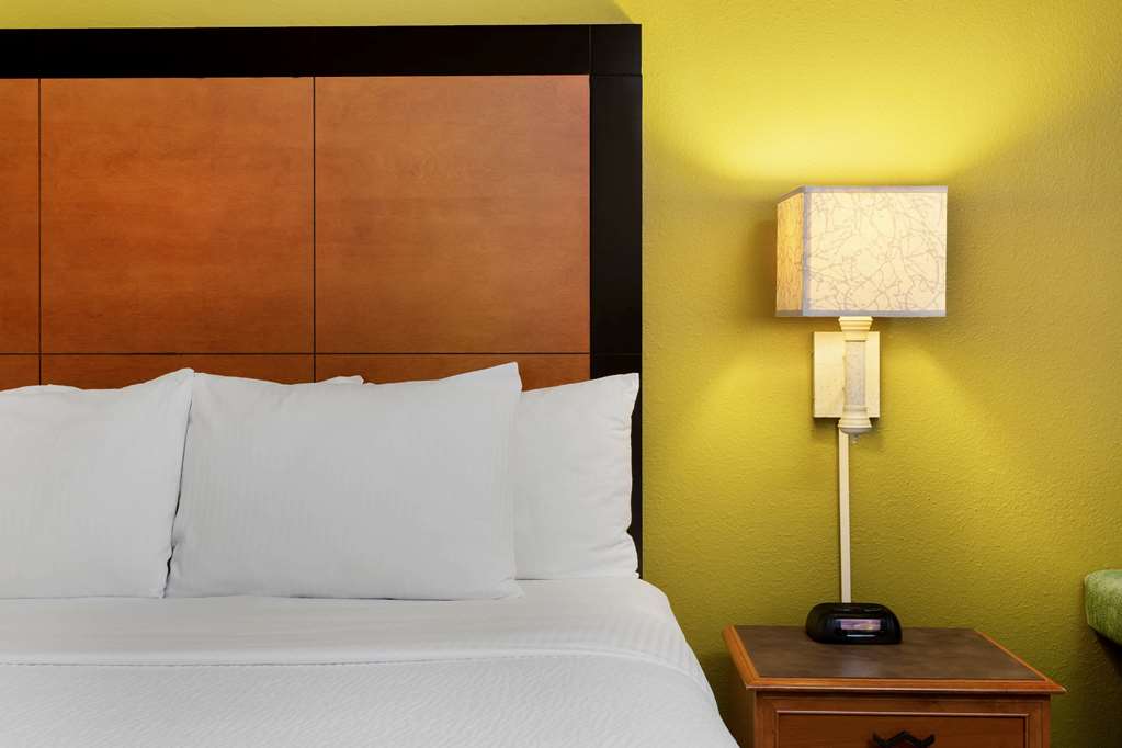La Quinta Inn & Suites by Wyndham St. Pete Clearwater Airpt - photo 35