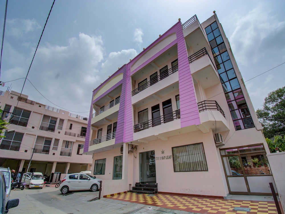 Oyo 16974 Star Leaf - last minute hotel in Jaipur