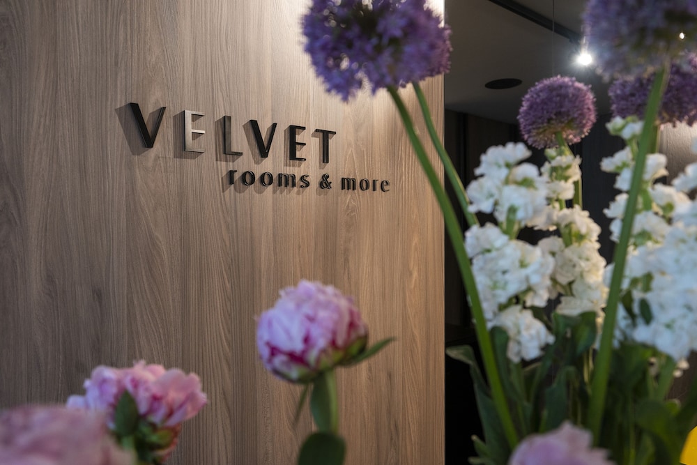 Velvet rooms & more — Zadar — photo 3